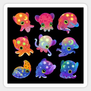 Bobtail squid Magnet